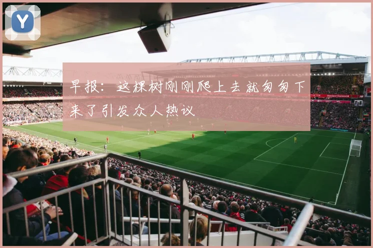 早报：这棵树刚刚爬上去就匆匆下来了引发众人热议